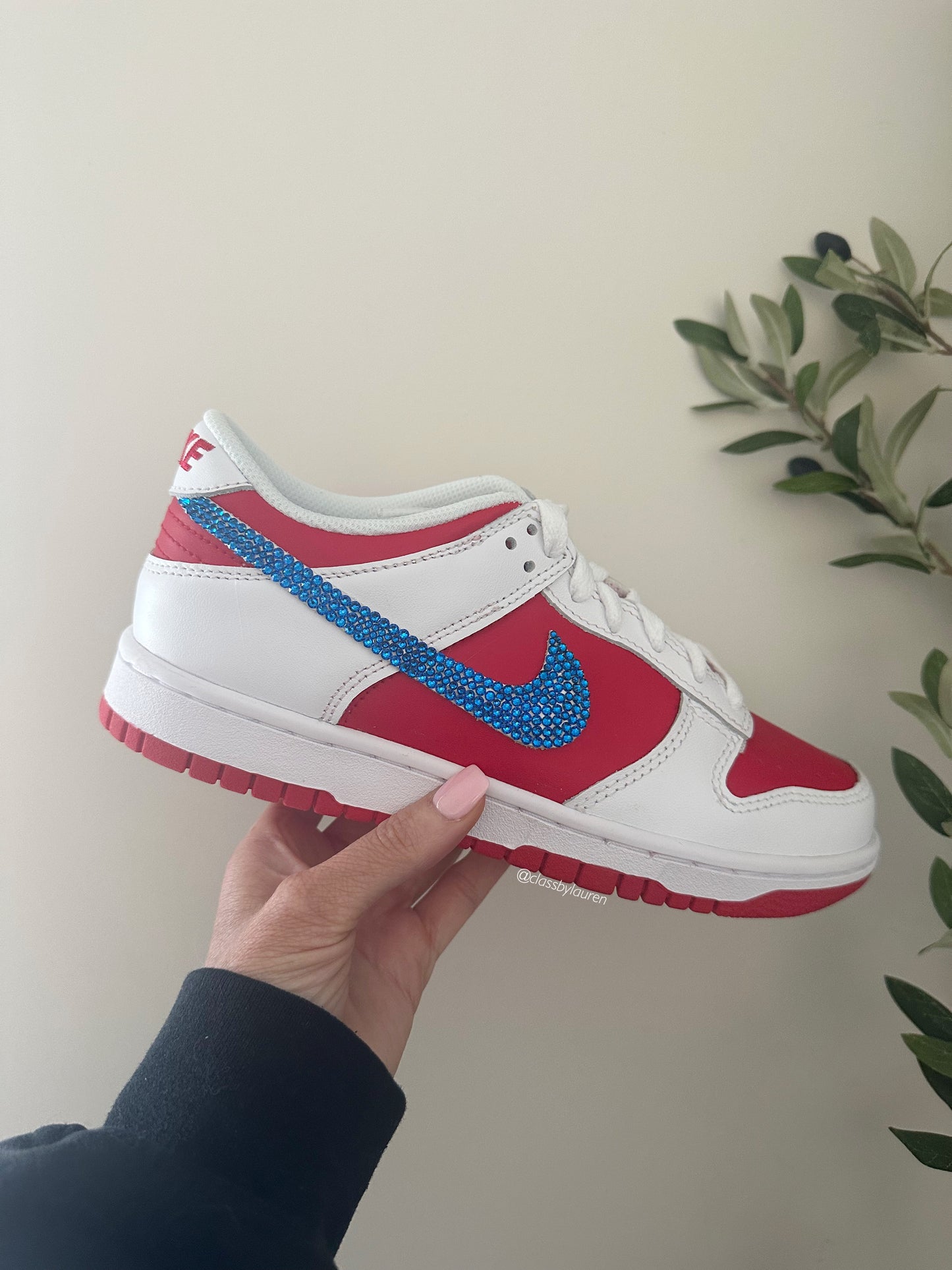 Nike Dunk Americana Team Red Chiefs/49ers/Phillies