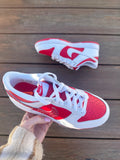 Nike Dunks Team Red Chiefs/49ers/Phillies
