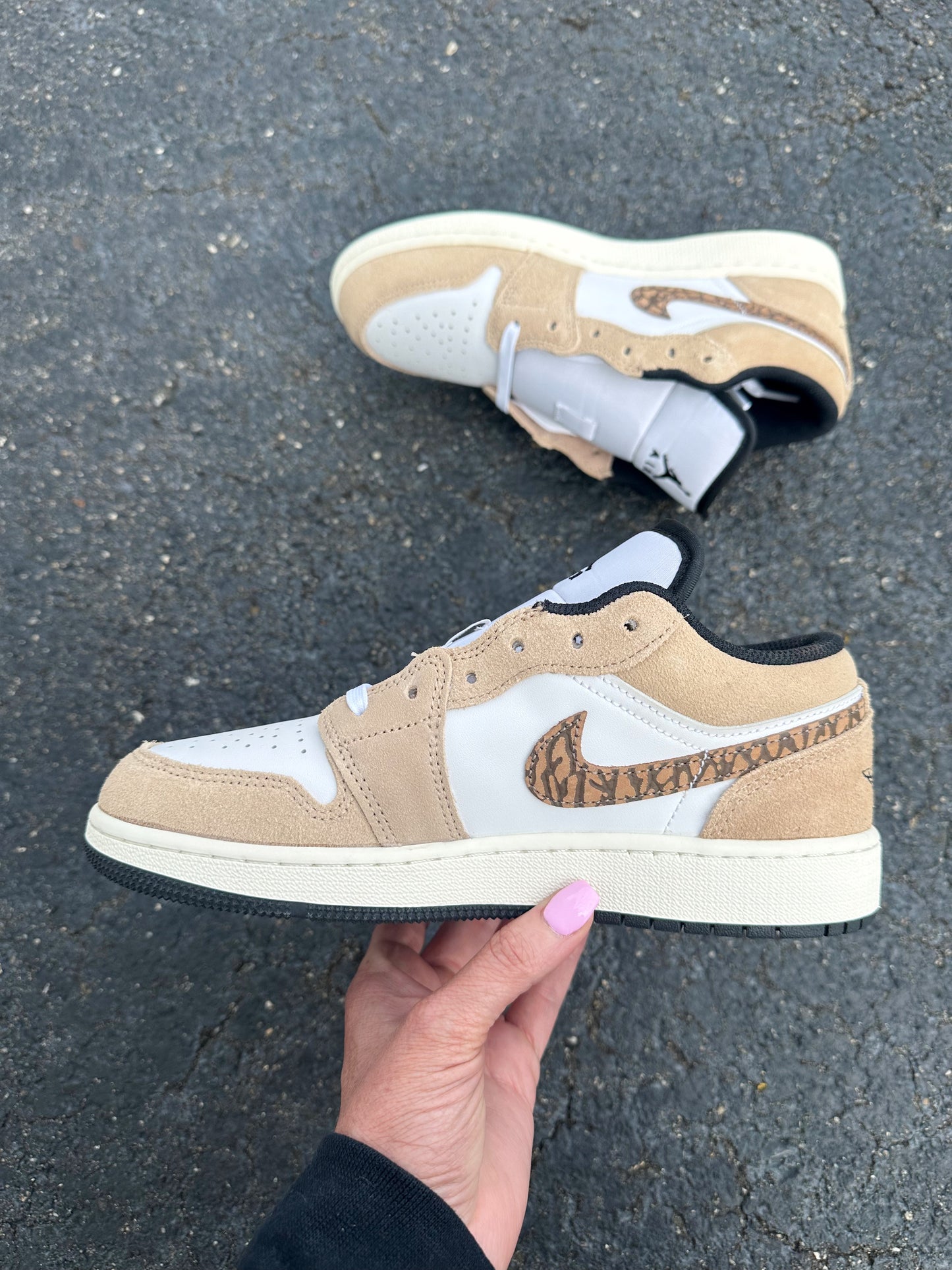 Nike Air Jordan Brown Elephant