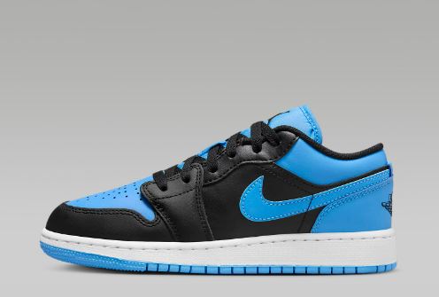 Nike Air Jordan 1 University Blue Panthers Team